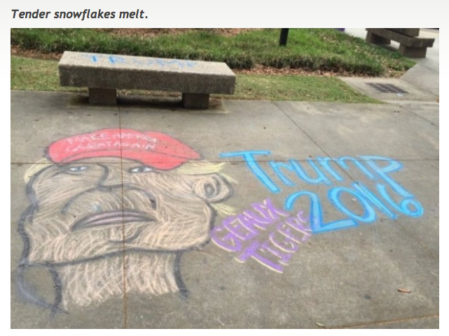 Student Senator Asked to Resign after Pro-Trump Chalk Message