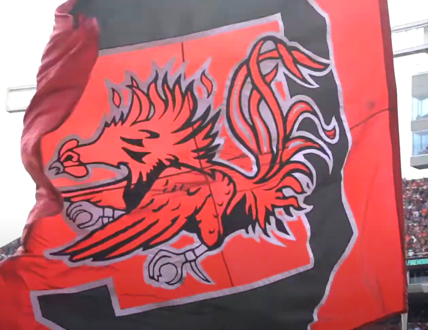 South Carolina Supreme Court rules in favor of mask mandates