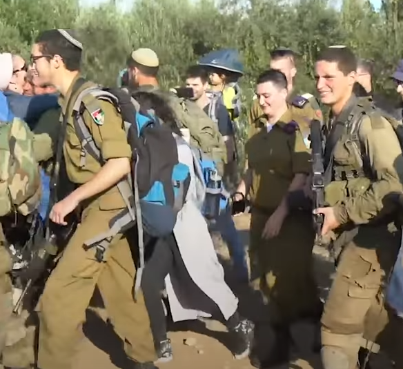 Pseudo-Scholars Promoting the Malevolence of Israel and Jews