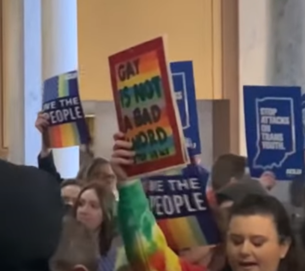 LGBTQ activists show up in force on debate on gender identity in schools